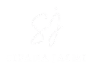 logo of digital marketer in malappuram